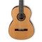 قیمت خرید فروش گیتار کلاسیک  Ibanez GA15 NT